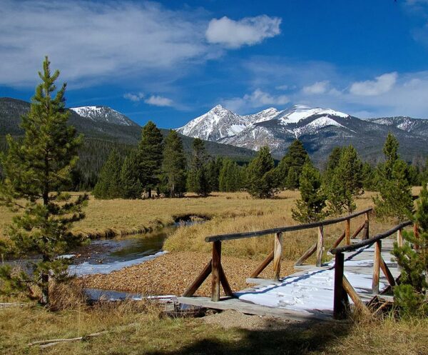 A bridge to Bowen and Baker,