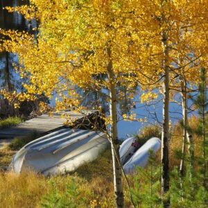 Boat Dock in Fall canvas print