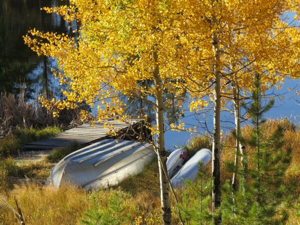 Boat Dock in Fall canvas print