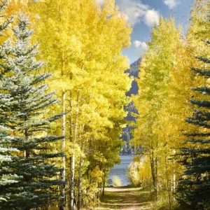 Path to Grand Lake
