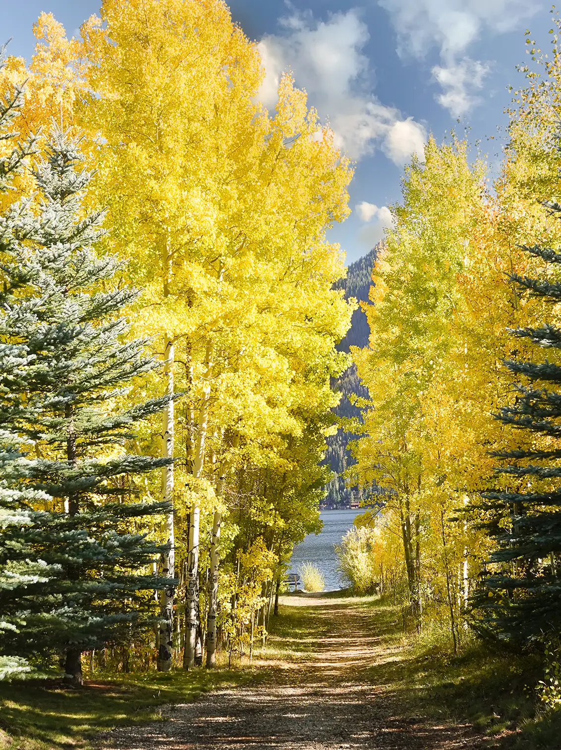 Path to Grand Lake