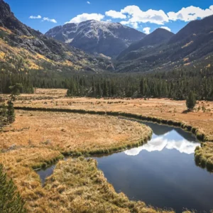 Second Meadow - photo by Neal Cross