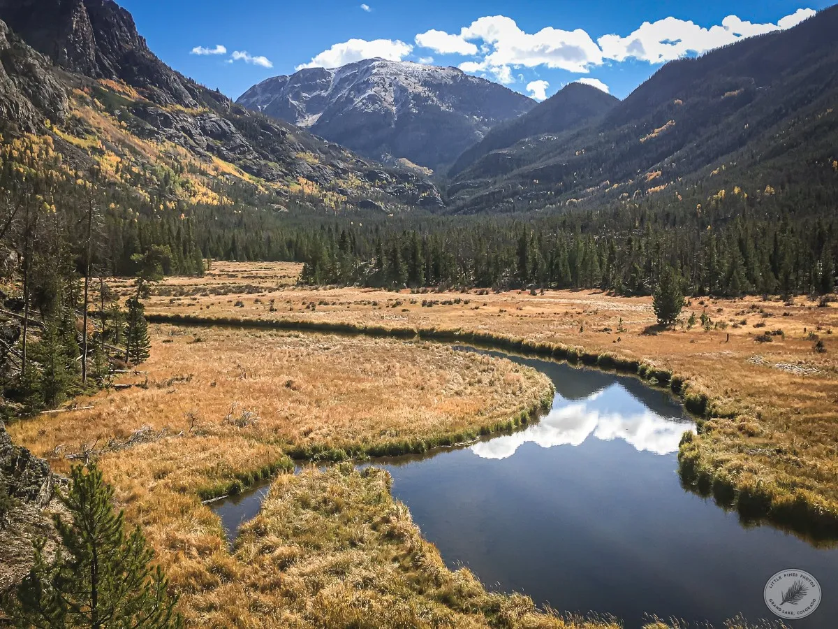 Second Meadow - photo by Neal Cross