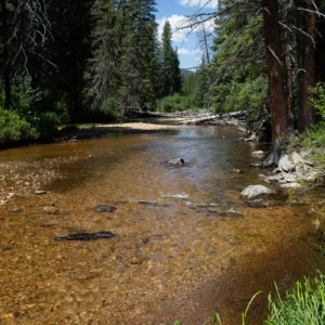 Colorado River, Adams Falls Trail - photo by Neal Cross
