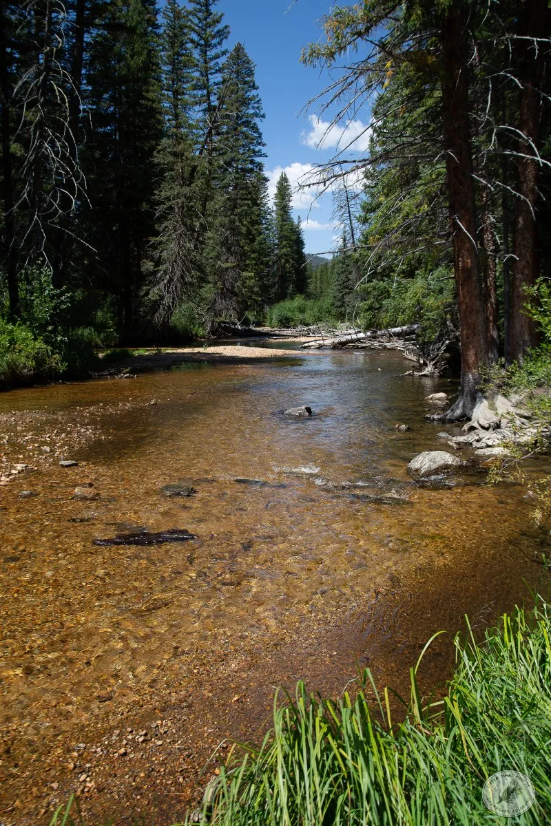 Colorado River, Adams Falls Trail - photo by Neal Cross