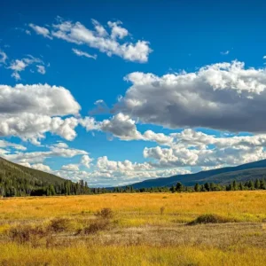 Kawuneeche Valley - photo by Neal Cross